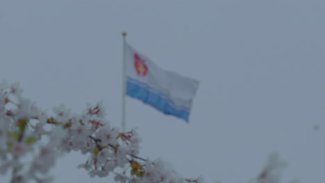 La-Bandera-De-Gdynia,-Con-Franjas-Horizontales-Y-El-Escudo-De-Armas-De-La-Ciudad,-Ondea-Al-Viento-Con-Una-Mancha-De-Flores-De-Cerezo-En-Primer-Plano