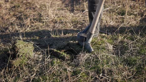 person in rubber boot digging soil on field with shovel for planting tree