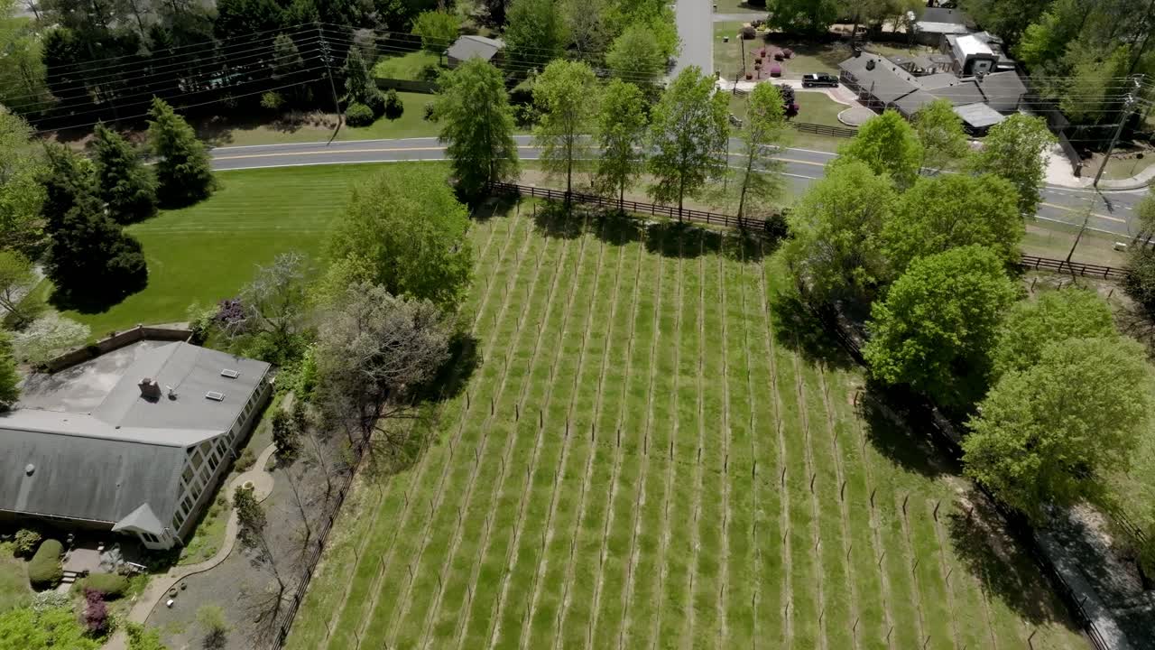 Grape vineyard of Stoney J's Winery on Stoney point road reveals neighborhood, Cumming, Atlanta, Georgia, Revealing drone shot