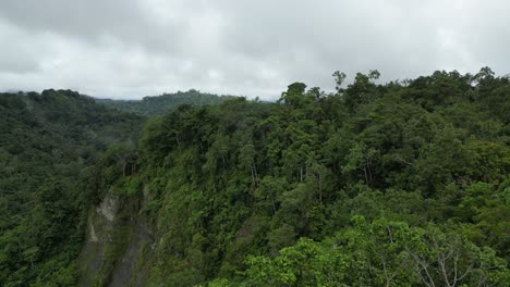 Drone-flying-very-low-over-thick-rainforest-canopy-revealing-lone-house-in-the-middle-of-remote-jungle