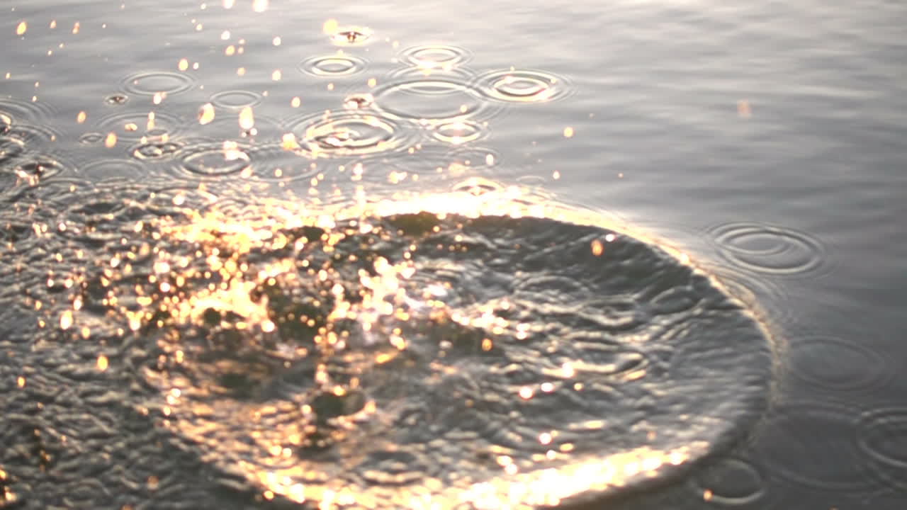 Gabbiani volano sul mare. Slow motion