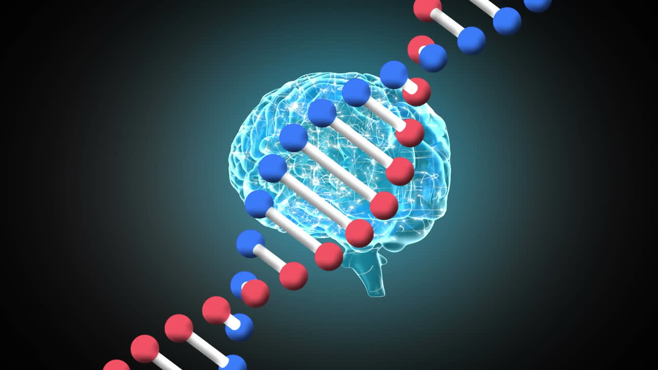 Animação digital de estrutura de DNA e cérebro humano girando em um fundo preto.