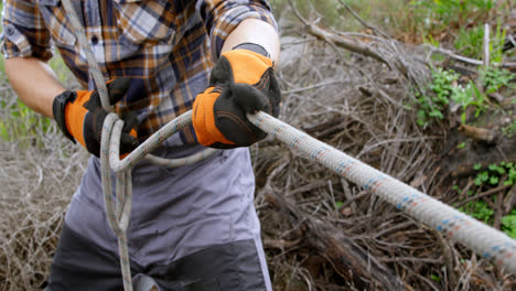 lumberjack pulling rope in forest 4k