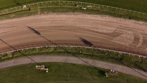 one race horse walking on racecourse track