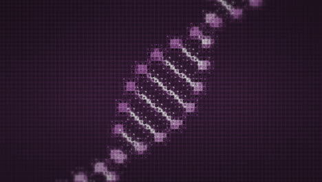 animación de la cadena de adn sobre un fondo negro