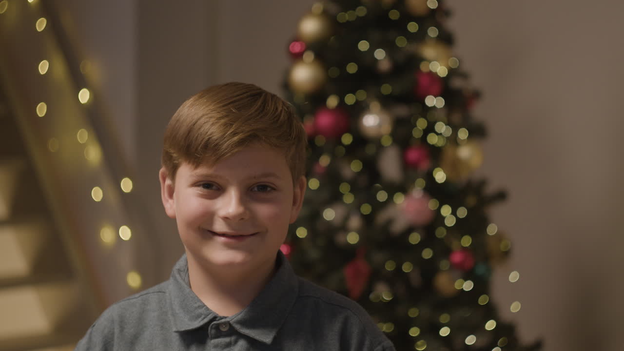 Boy in front of decorated Christmas tree