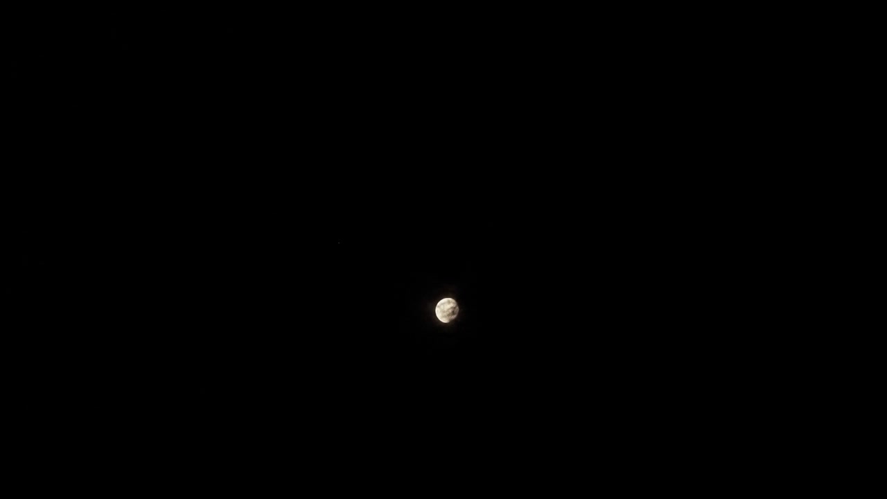 Filmagem em time-lapse da lua cheia nascendo no céu escuro atrás de galhos de árvores na natureza.