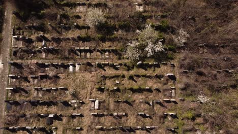 aerial view of abandoned graveyard