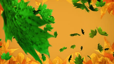 animación de varias hojas de otoño que caen sobre un fondo naranja