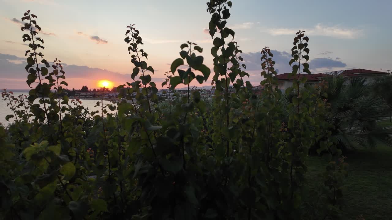 Tramonto in Grecia: relax al resort sulla spiaggia di Halkidiki, giardino di ulivi e ora d'oro.
