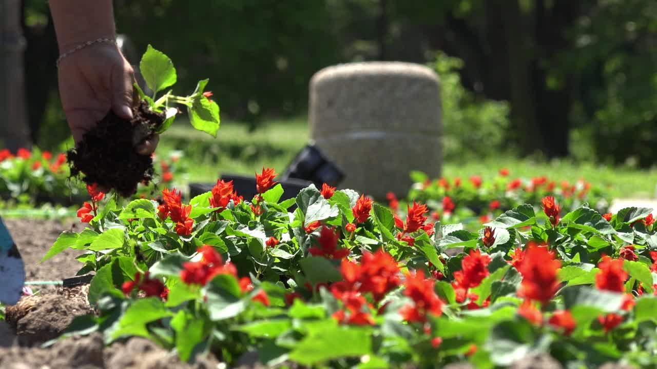mujeres jardineras al aire libre en el parque de la ciudad.