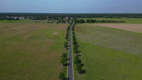 empty asphalt road crossing a countryside landscape with trees and fields. unique aerial view flight fly push forward drone