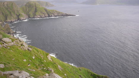 Hundreds-of-Puffins-Flying-Along-a-Cliff-in-Norway,-Wide-Shot,-Slow-Motion