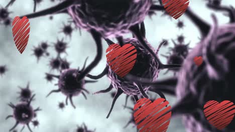 animación de iconos de corazón sobre las células del virus sobre un fondo blanco