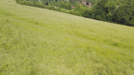 Toma-Aérea-De-Un-Dron-De-Una-Mujer-Paseando-A-Un-Perro-En-Una-Colina-En-El-Campo-De-Verano-Inglés-Reino-Unido-Streatley-Berkshire