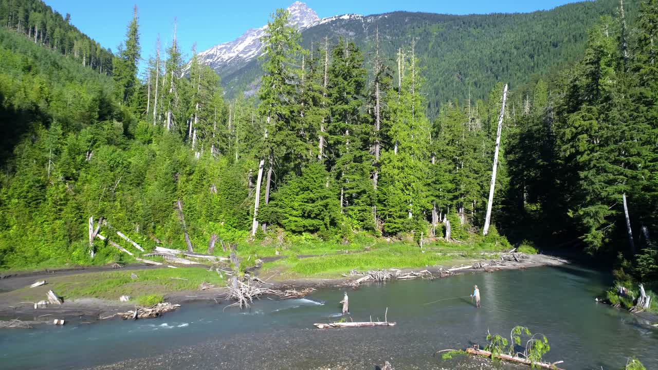 мужчины ловят рыбу в реке в солнечный день 4к 4к