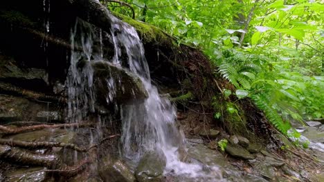 small creek or stream flowing off hillside in the blue ridge mountains just off the blue ride parkway