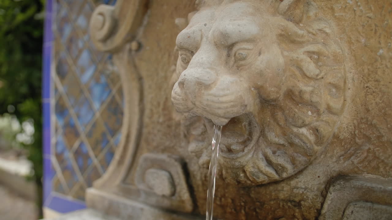 fontana del leone in un giorno nuvoloso 2