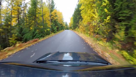 Coche-Circulando-Por-La-Carretera-A-Través-Del-Bosque-Otoñal-4k