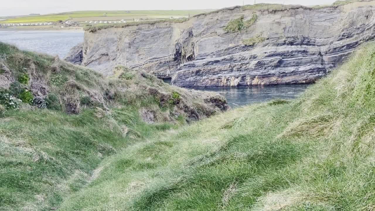 White wildflowers on a grassy pathway near rugged cliffs