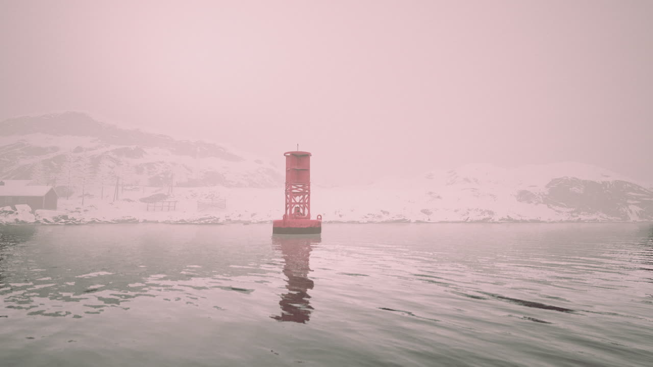 안개 가 가득 한 항구 에 있는 은 보이