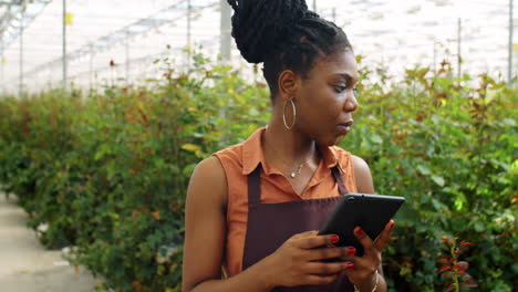 Afroamerikanische-Frau-Benutzt-Tablet-Bei-Der-Arbeit-Im-Blumengewächshaus