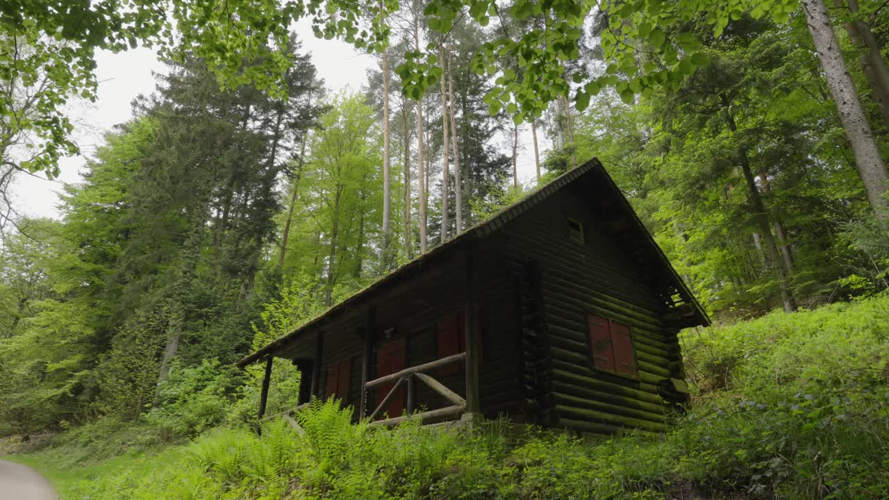 독일의 블랙 포레스트 숲에 있는 한적한 오두막