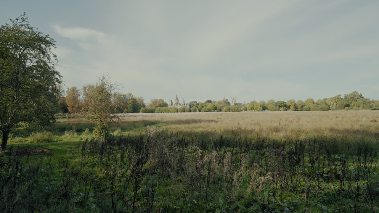 agujas de ciudades distantes sobre un campo iluminado por el sol