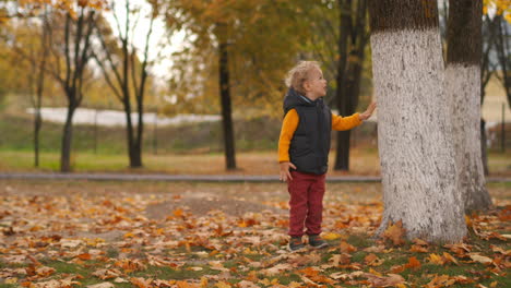 little child is exploring nature in fall park touching tree and viewing trunk walking at weekend at autumn day happy childhood