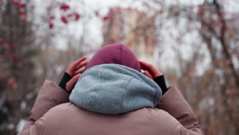 close-up rear view of person adjusting beanie while walking in chilly winter park, snow-covered ground, blurred background with bare trees and red berries