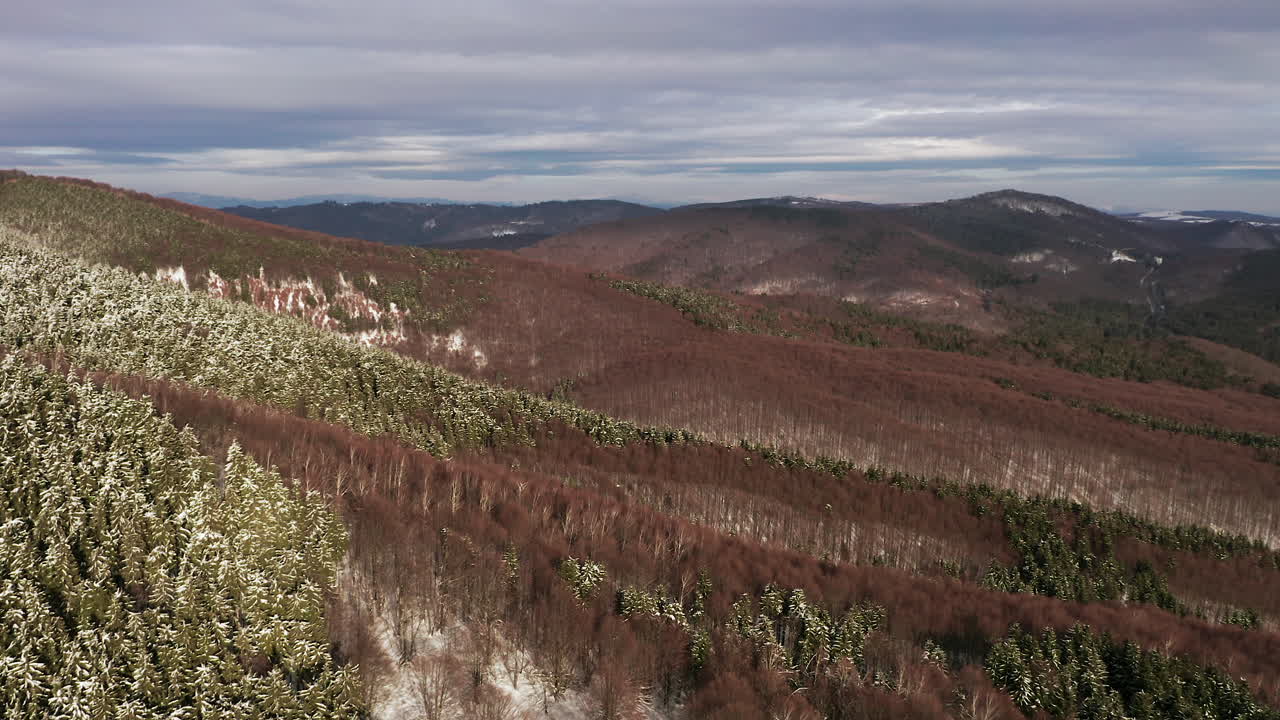 paso elevado sobre la ladera boscosa espolvoreada en la nieve del invierno