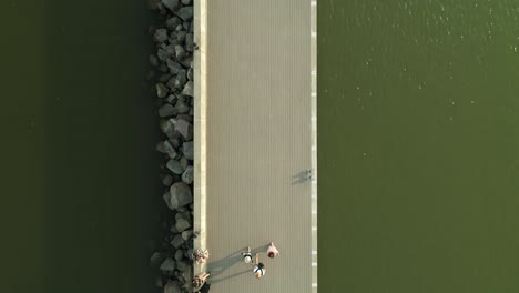 people walk on pier in sunny day