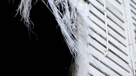 cortina de tela andrajosa colgada en la ventana que se abre de un granero de madera abandonado
