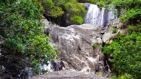 cascada cascadas en la roca en la selva virgen verde esmeralda, vietnam