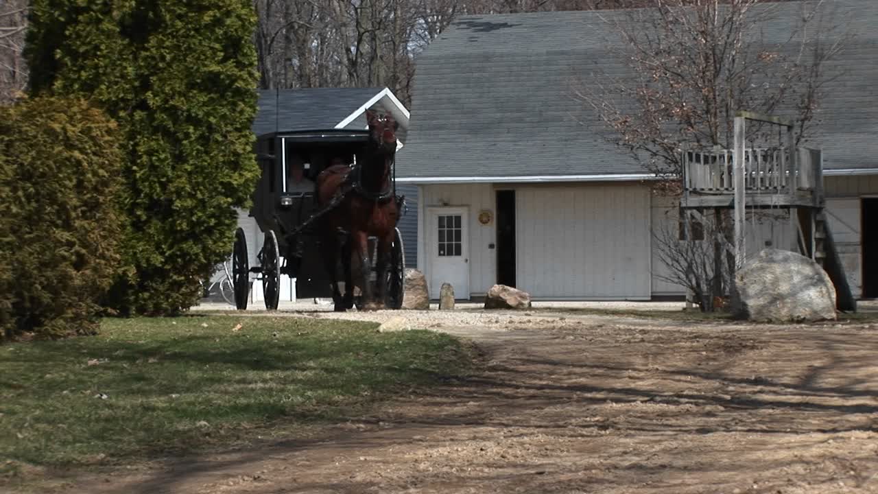 아미쉬 말과 마차가 승객과 함께 고속도로로 향합니다.