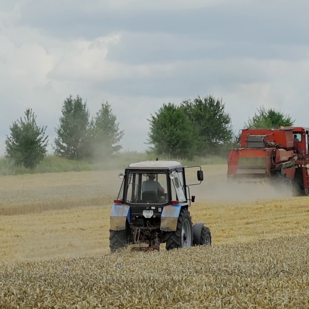 Combine harvester in action on the field. Tractor and harvester at harvest time. Agricultural sector