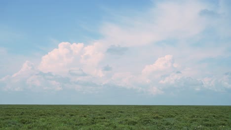 stormy dramatic storm clouds background and plains in africa in rainy season in serengeti national park in tanzania in africa, copy space and horizon with dramatic sky