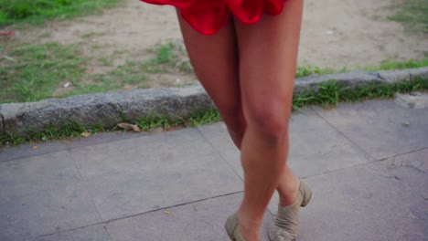 carnaval de brasil