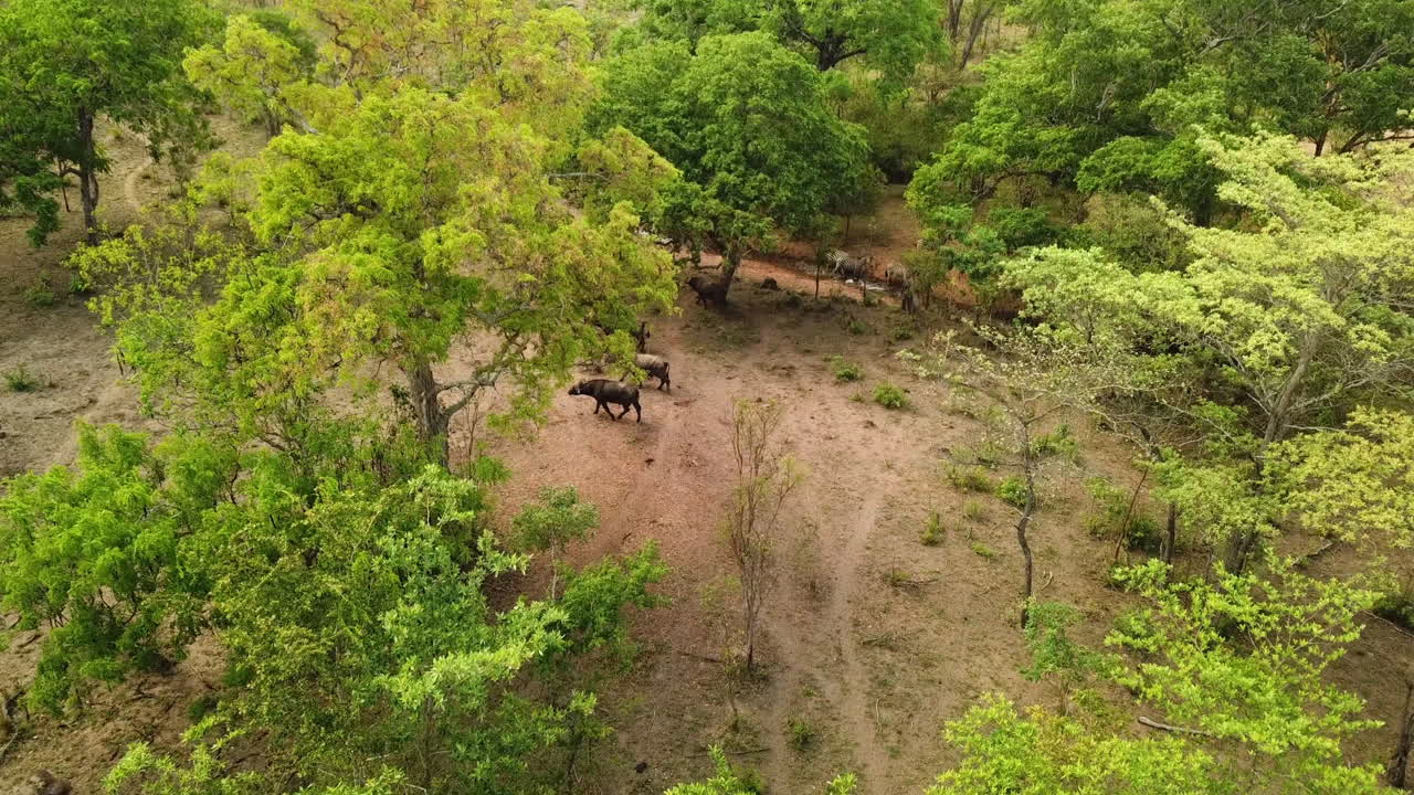 yendo a la naturaleza