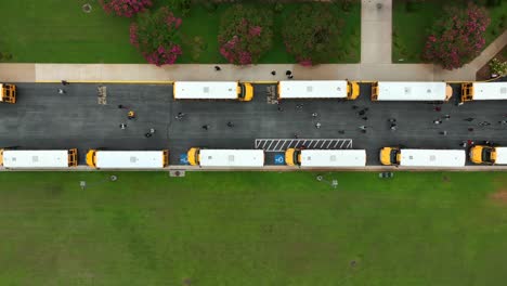 top down aerial of row of school bus