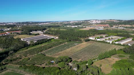 farm in rural portugal, europe