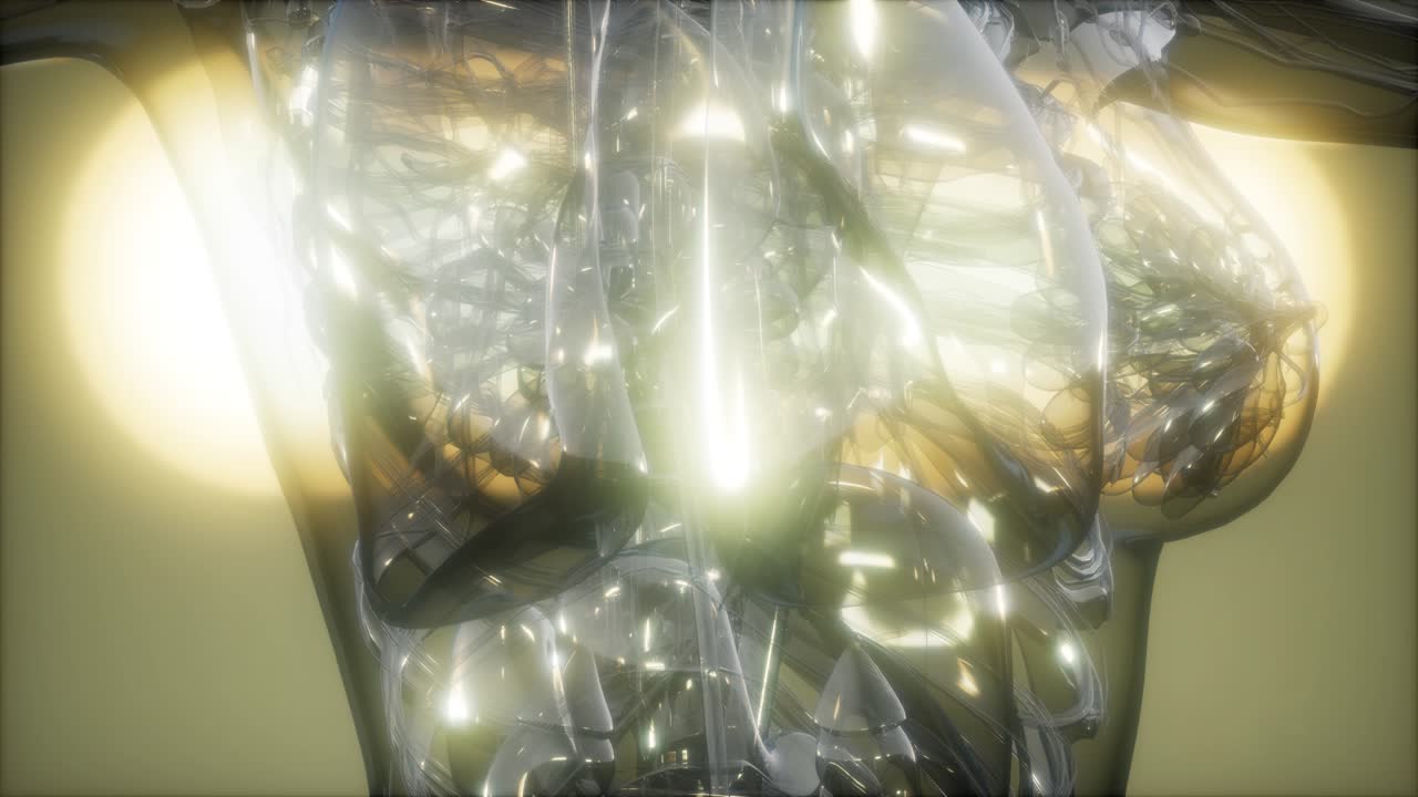 рентгеновское изображение человеческого тела