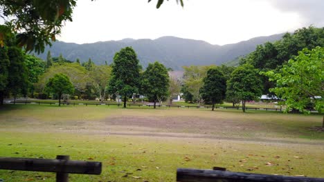 trees in an open grass field with mountains in the background slow motion