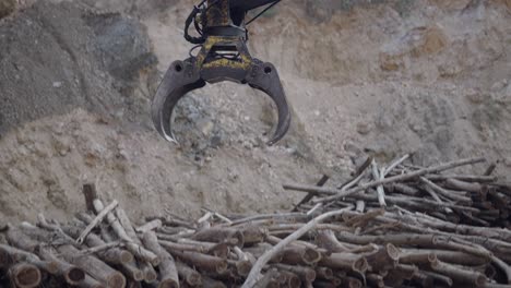 Excavator Handling Logs in a Quarry