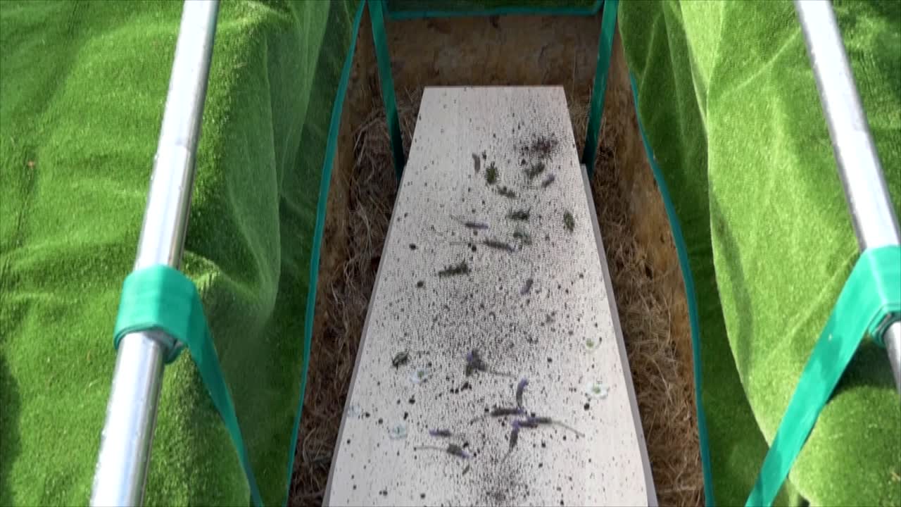 영구차나 예배당에 있는 장례식 관의 클로즈업 샷 또는 묘지의 매장