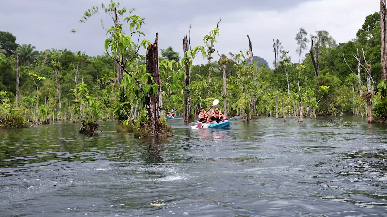 카야크 타는 사람 들 은 크라비 의 울창 하고 조용 한 수로 를 항해 한다
