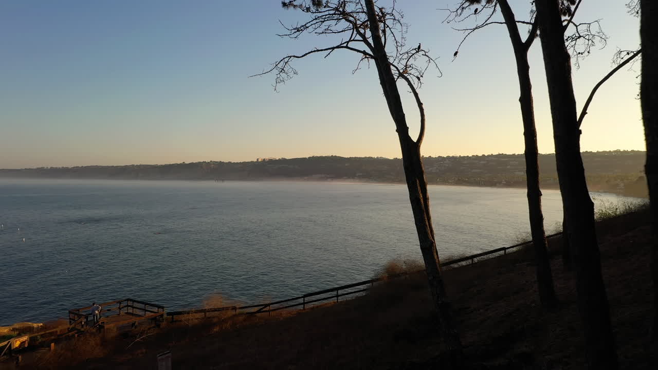 hermosa vista al mar a través de árboles en silueta en la costa de la jolla al atardecer - disparo de drones