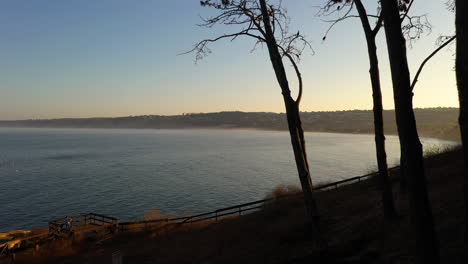 Beautiful-Ocean-View-Through-Trees-In-Silhouette-At-La-Jolla-Shore-At-Dusk---drone-shot