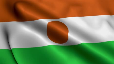 niger flag