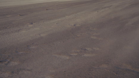 wind blowing sand